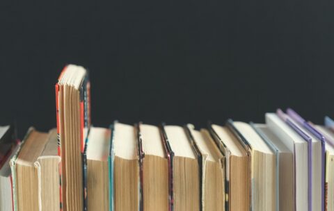 Principi e metodi storico-filosofici del Diritto